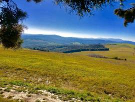 Privato VENDE o AFFITTA Azienda AGRITURISTICA a San Gimignano si