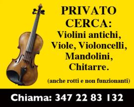 VIOLINO, VIOLA, VIOLONCELLO e MANDOLINO CERCO