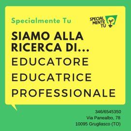 RICERCA EDUCATORE/TRICE PROFESSIONALE