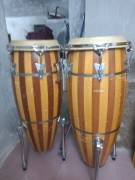 CONGAS