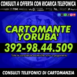 L’ARTE DIVINATORIA A BASSO COSTO: IL CARTOMANTE YORUBA'