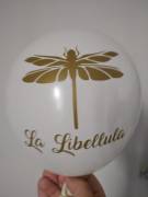 corso palloncini modellabili online laboratorio libellula