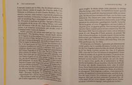 Tutti i cerchi del mondo.I volti, i paesi che fanno un'Olimpiade di Emanuela Audisio 1°Ed.Mondadori,