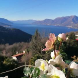 Lago Maggiore holiday house 