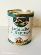 Lumache al naturale 