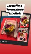 corso fimo hobby  laboratorio libellula