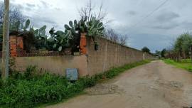 vendo villetta singola con terreno 