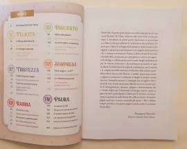 Magia del fantasy.Storie ed emozioni al summer camp Ed.Salani, 2024 nuovo