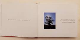 Dove finisce il fiume di Sergio Garbato, Gabbris Ferrari Ed.Amministrazione Provinciale, Rovigo 1991