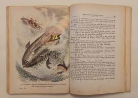 Ventimila leghe sotto i mari di Giulio Verne Editrice Boschi, aprile 1967 ottimo
