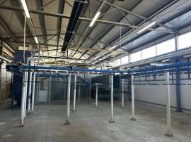 IMPIANTO DI VERNICATURA IN AFFITTO