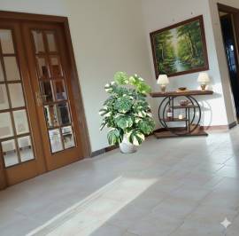 Quadrivani con camino – Eleganza e comfort al secondo piano Quadrivani con camino – Eleganza e comfort al secondo piano