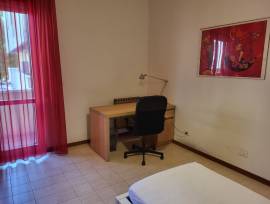 Affittasi a Pisa Camera Singola per studenti maschi