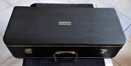 Sax Alto BORGANI Vintage anni '60 Sax Alto BORGANI Vintage anni '60