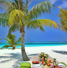 RISTORANTE BAR FRONTE MARE !!!   35000 EURO !!!   FANTASTICO !!!