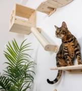 Mensole per percorso gatti 