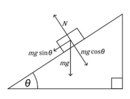 ripetizioni di MATEMATICA e FISICA a 12 euro