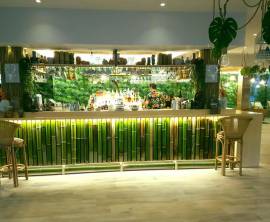 Canne di bambù bambu bamboo 