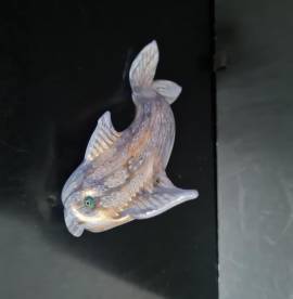 Duetto La Murrina formato da foca e pesce in vetro di Murano anni 90 marchiati , in condizioni perfe