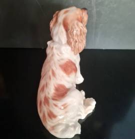 Cane  porcellana di Meissen  seduto con mantello marrone e bianco, testa girata . Marchio di spade i