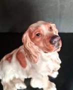 Cane  porcellana di Meissen  seduto con mantello marrone e bianco, testa girata . Marchio di spade i