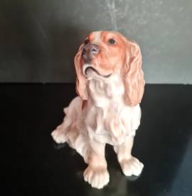 Cane  porcellana di Meissen  seduto con mantello marrone e bianco, testa girata . Marchio di spade i