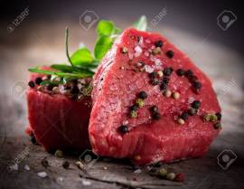 AMBURGHERIA  POLO  UNIVERSITARIO POLITECNICO   CON  BAR CAFFETTERIA  - AMBURGHERIA  - RISTORANTE    