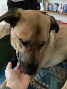 Una nuova famiglia per Carmen