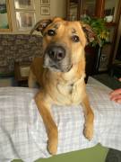 Una nuova famiglia per Carmen