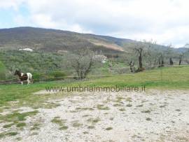 Rif. 509 casale con 6 ettari vic Giano dell'Umbria