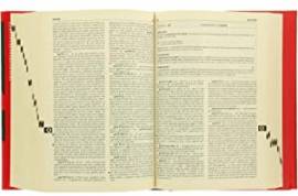 Dizionario Fondamentale della lingua Italiana Sandron De Agostini, Novara 1994 come nuovo 