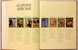 Le savane Africane Selezione dal Readers’s Digest, 1991 nuovo