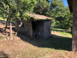 vendita borgo in sasso - più unità abitative - più terreno -  colline di savigno