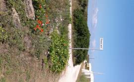 Fronte mare torre inserraglio narDo lecce