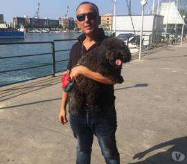 Pino dog Sitter anche per visite all'acquario e musei