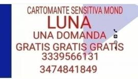 Cartomante sensitiva LUNA 