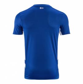 Fake Schalke 04 shirts & kit