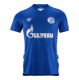 Fake Schalke 04 shirts & kit