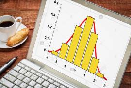 Ripetizioni Statistica Online