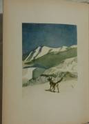 Il richiamo della foresta ed altre storie di cani di Jack London Ed: Ugo Mursia già Corticelli, 1960