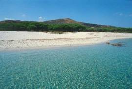 Affittasi case vacanze in Sardegna