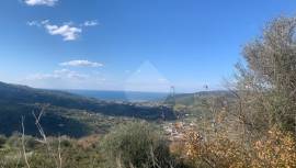 TERRENO AGRICOLO IN LAUREANA CILENTO. VISTA MARE