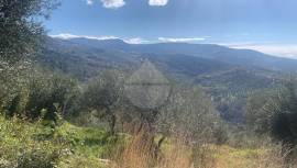 TERRENO AGRICOLO IN LAUREANA CILENTO. VISTA MARE