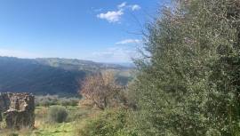 TERRENO AGRICOLO IN LAUREANA CILENTO. VISTA MARE