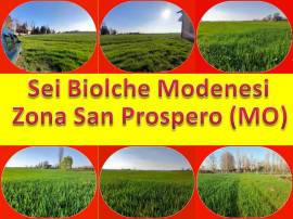 Terreno Agricolo Seminativo da 6 Biolche Modenesi