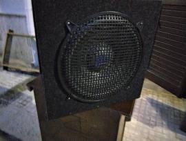 Subwoofer professionale incassato da cm 38