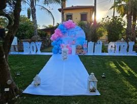 Gender Reveal - Baby Shower