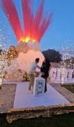 Gender Reveal - Baby Shower