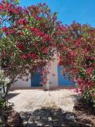 Villetta vacanze Torre Pali Salento 