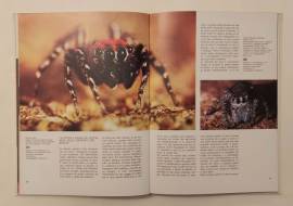 Fotografare la natura di Claude Nuridsany, Marie Pérennou 1°Edizione Mondadori, marzo 1976